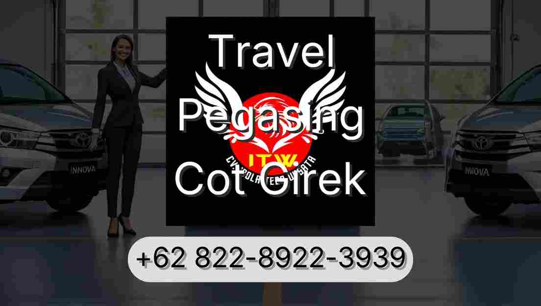 Travel Pegasing Cot Girek