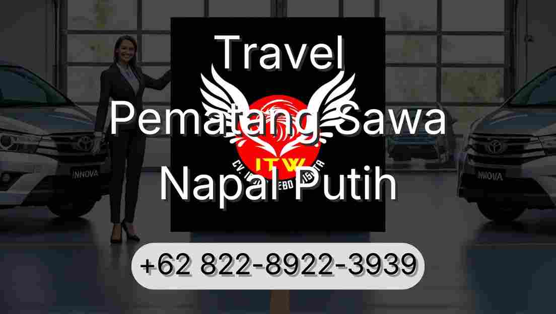 Travel Pematang Sawa Napal Putih