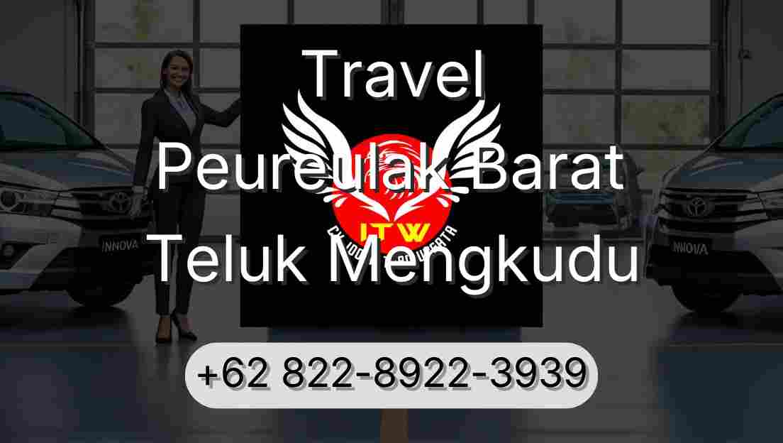 Travel Peureulak Barat Teluk Mengkudu