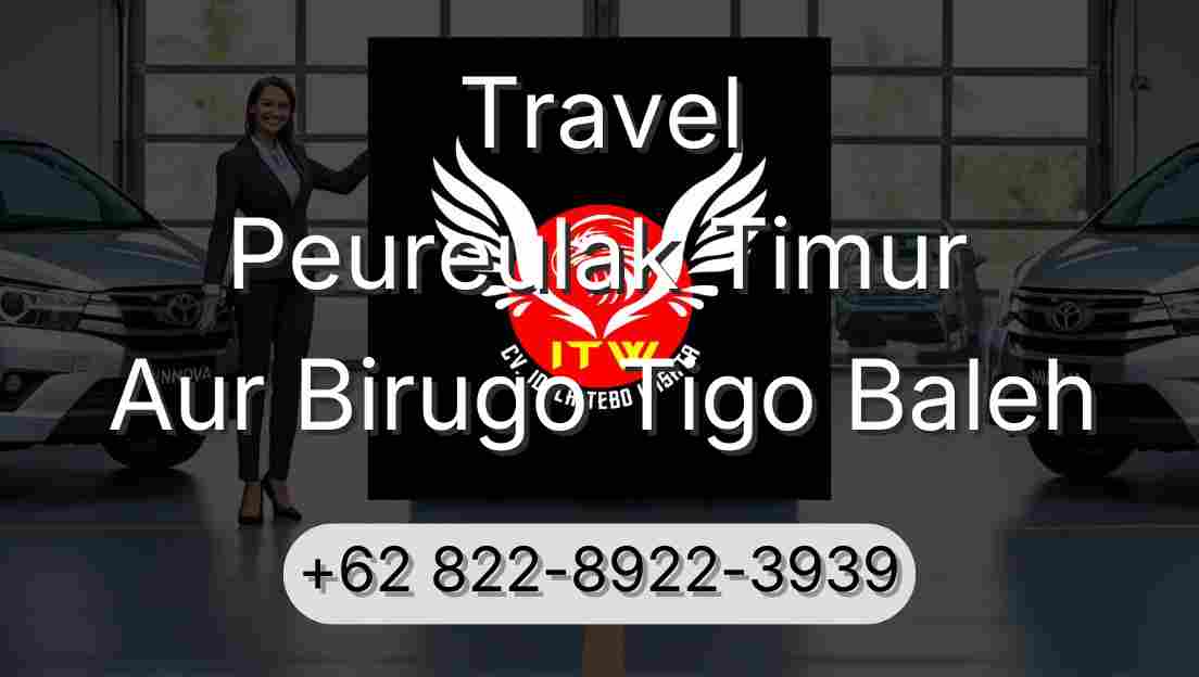 Travel Peureulak Timur Aur Birugo Tigo Baleh