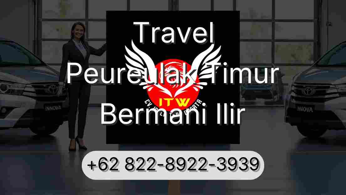 Travel Peureulak Timur Bermani Ilir