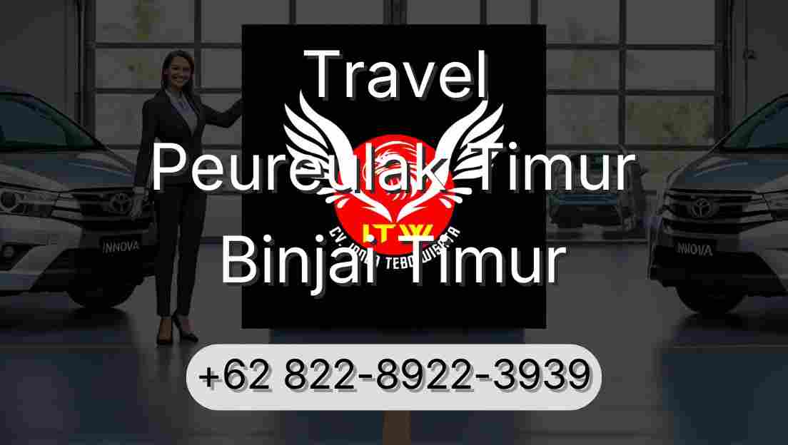 Travel Peureulak Timur Binjai Timur