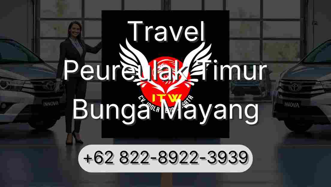 Travel Peureulak Timur Bunga Mayang