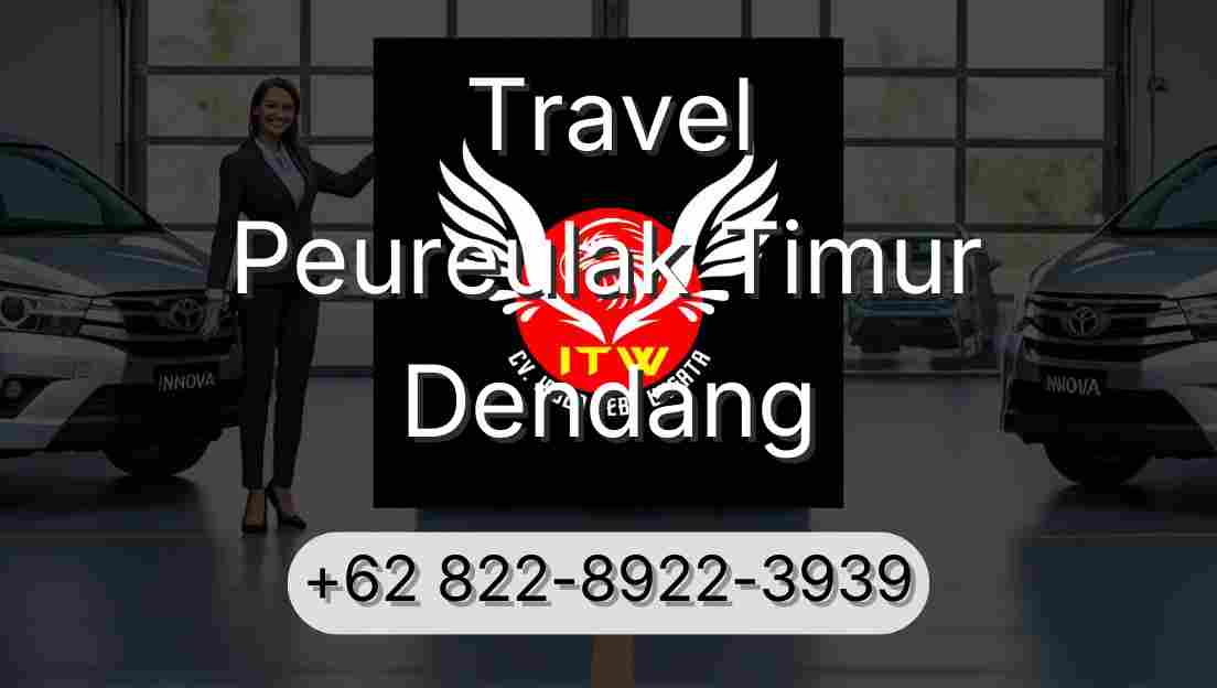 Travel Peureulak Timur Dendang