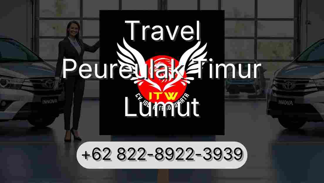 Travel Peureulak Timur Lumut