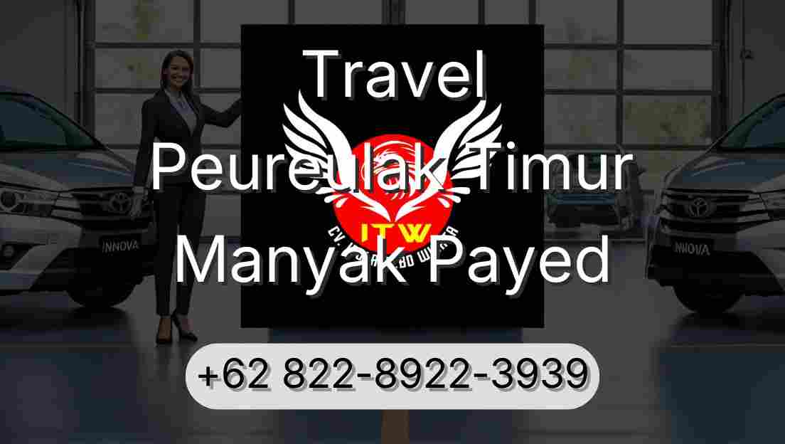 Travel Peureulak Timur Manyak Payed