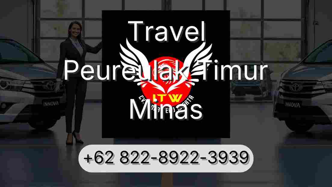 Travel Peureulak Timur Minas