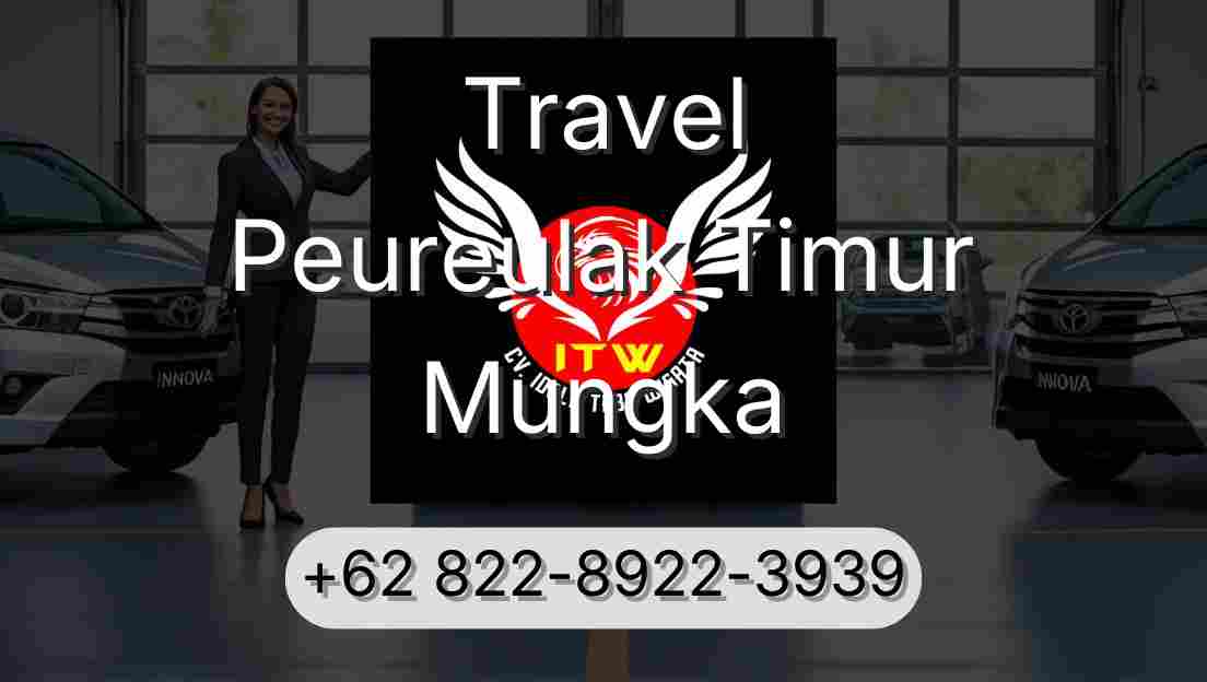 Travel Peureulak Timur Mungka