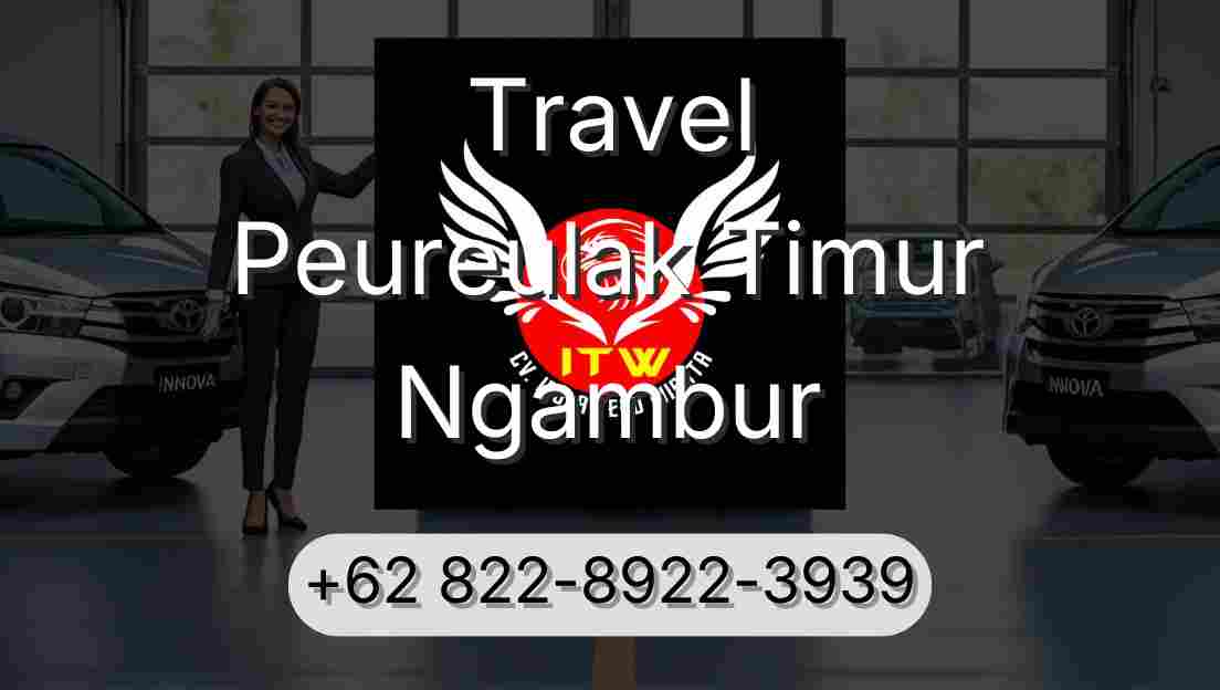 Travel Peureulak Timur Ngambur