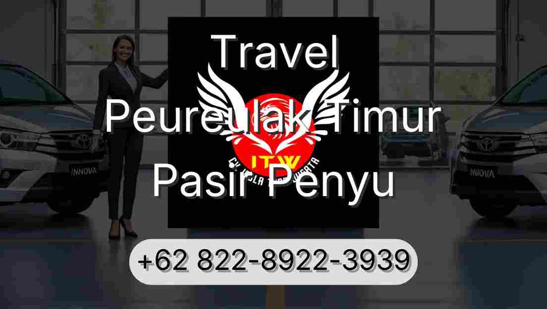 Travel Peureulak Timur Pasir Penyu