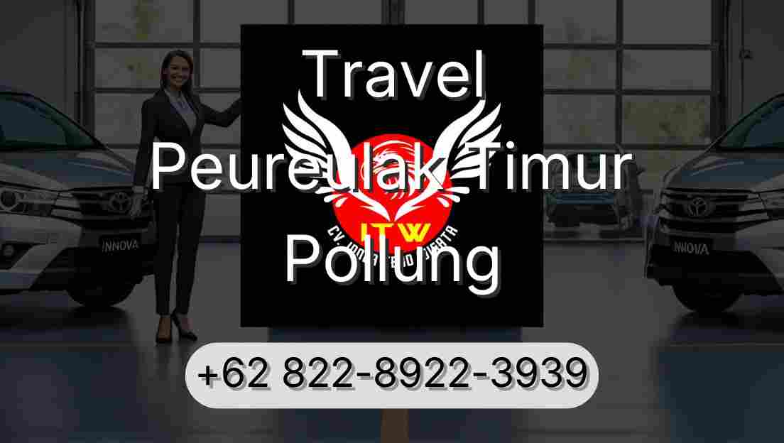 Travel Peureulak Timur Pollung