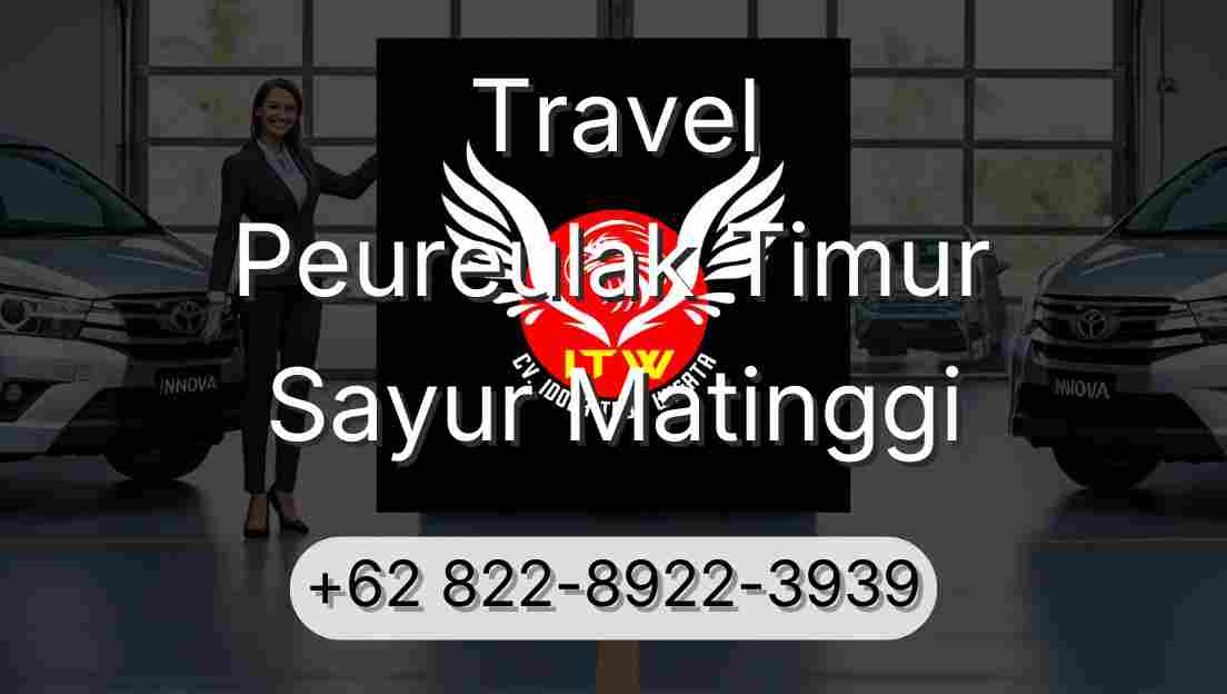 Travel Peureulak Timur Sayur Matinggi