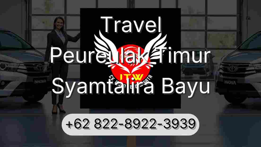 Travel Peureulak Timur Syamtalira Bayu