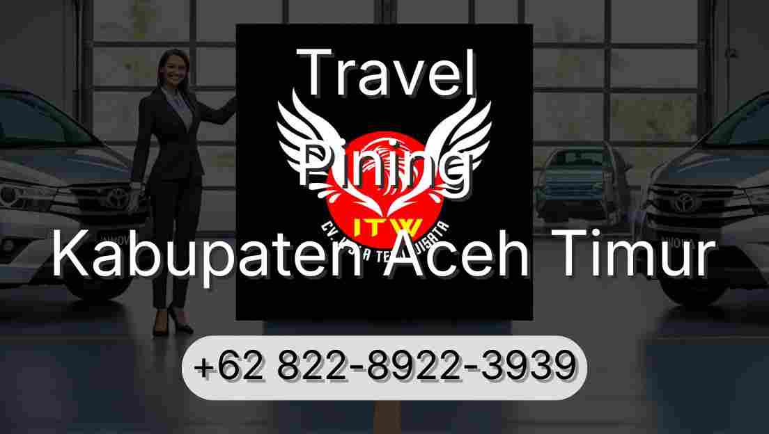 Travel Pining Kabupaten Aceh Timur