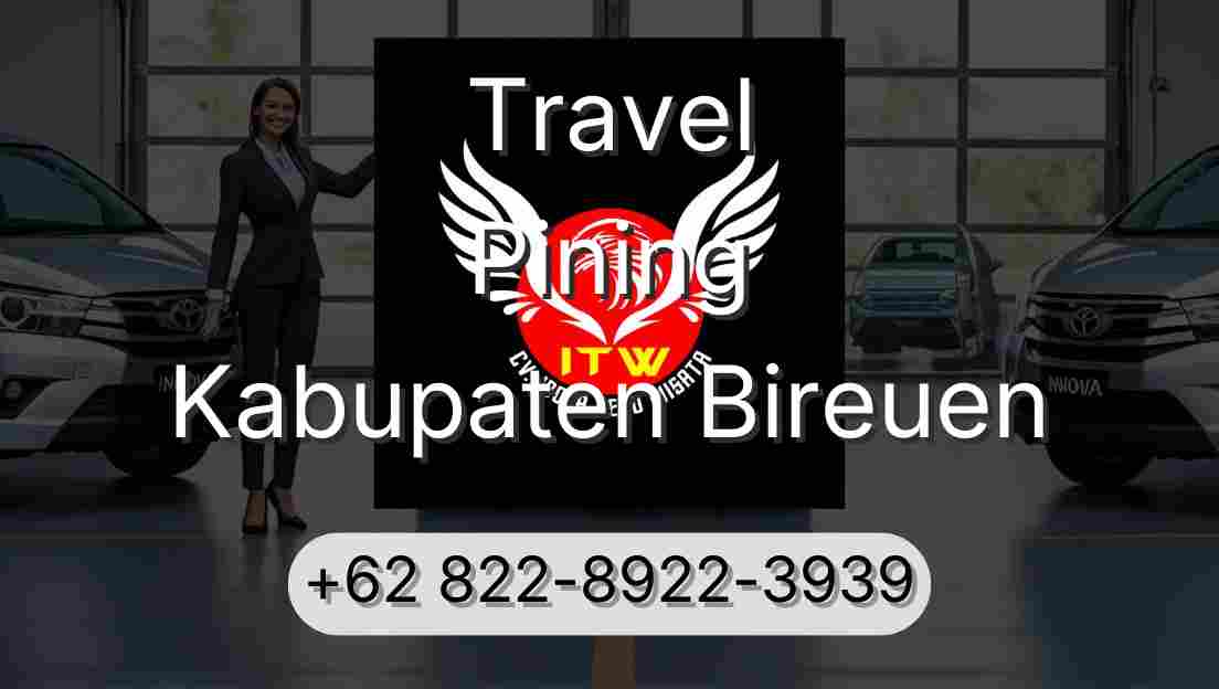 Travel Pining Kabupaten Bireuen