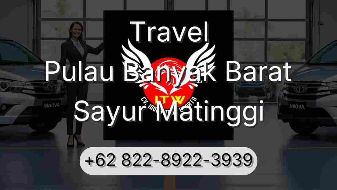 Travel Pulau Banyak Barat Sayur Matinggi