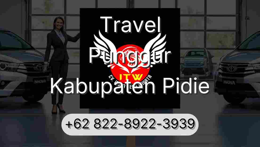 Travel Punggur Kabupaten Pidie