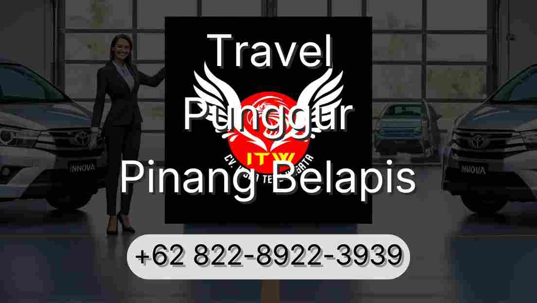 Travel Punggur Pinang Belapis