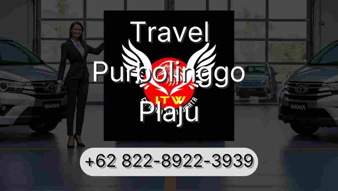Travel Purbolinggo Plaju