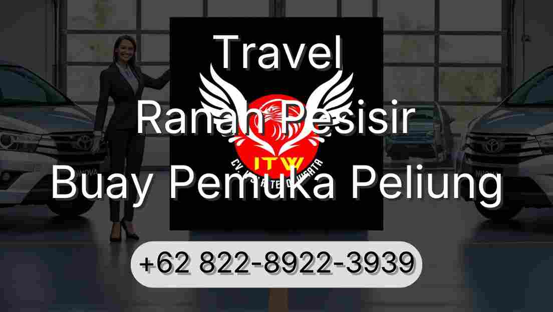 Travel Ranah Pesisir Buay Pemuka Peliung