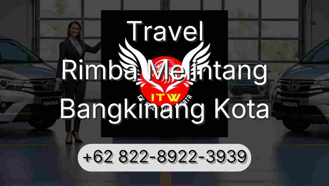 Travel Rimba Melintang Bangkinang Kota