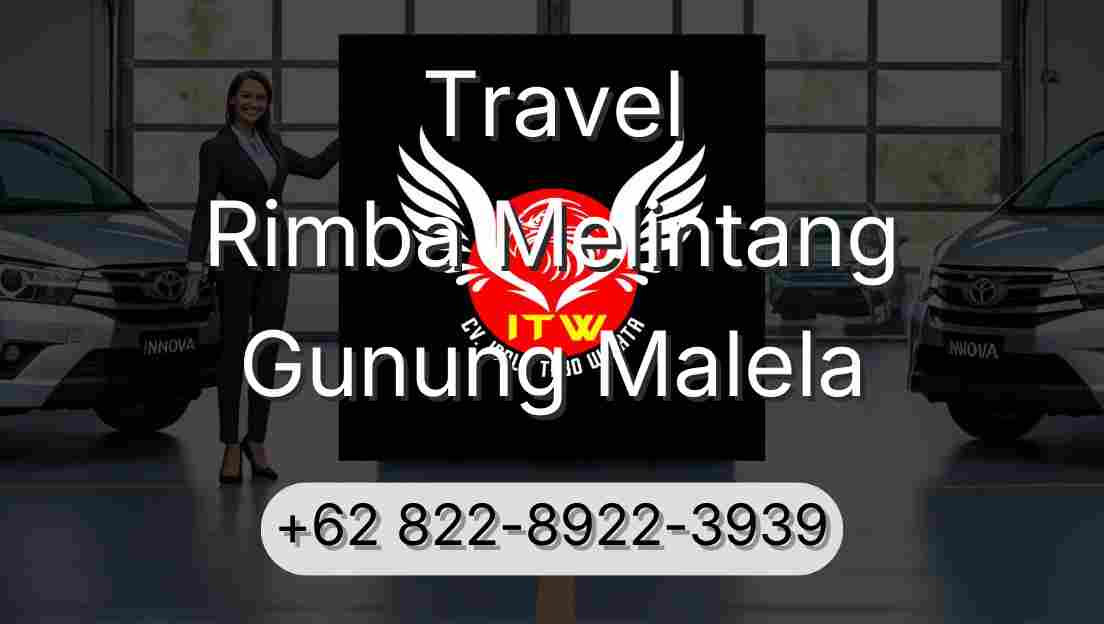 Travel Rimba Melintang Gunung Malela