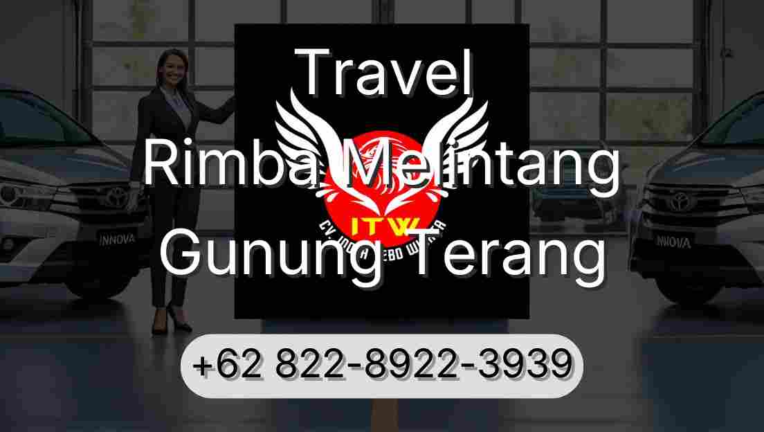 Travel Rimba Melintang Gunung Terang