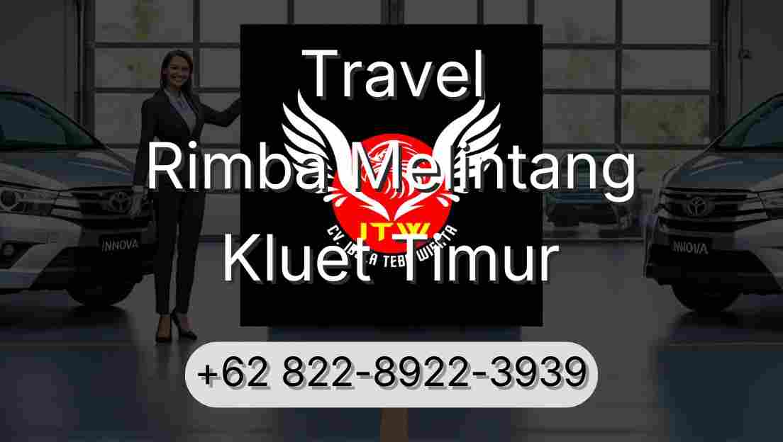 Travel Rimba Melintang Kluet Timur