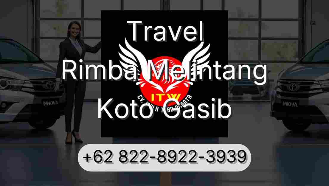 Travel Rimba Melintang Koto Gasib