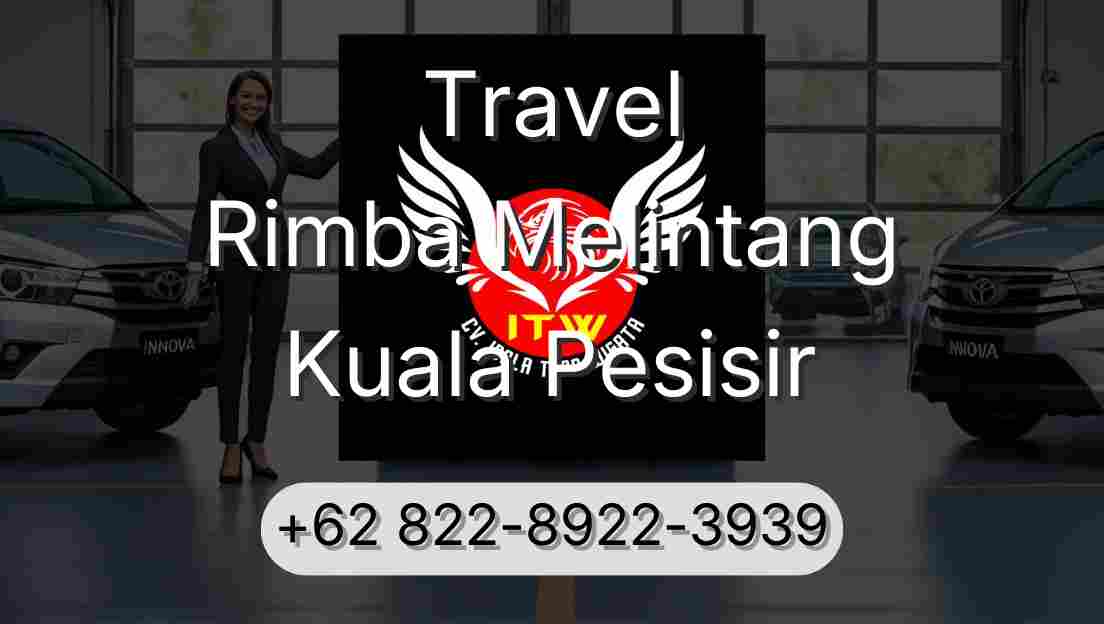 Travel Rimba Melintang Kuala Pesisir