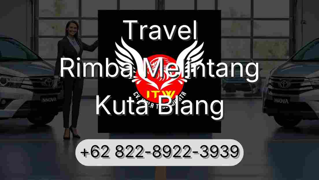 Travel Rimba Melintang Kuta Blang