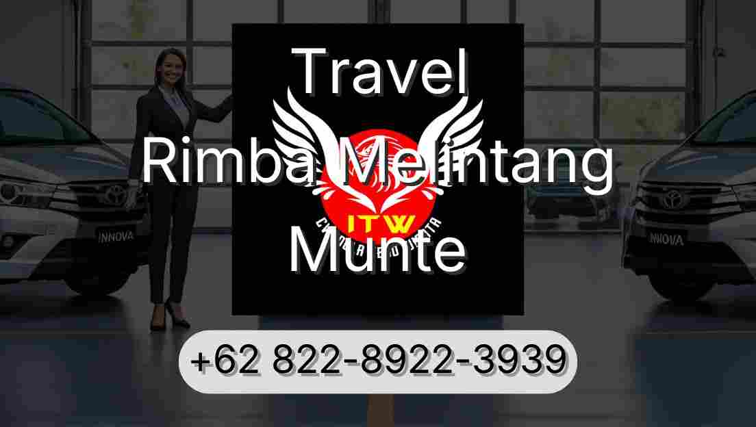 Travel Rimba Melintang Munte