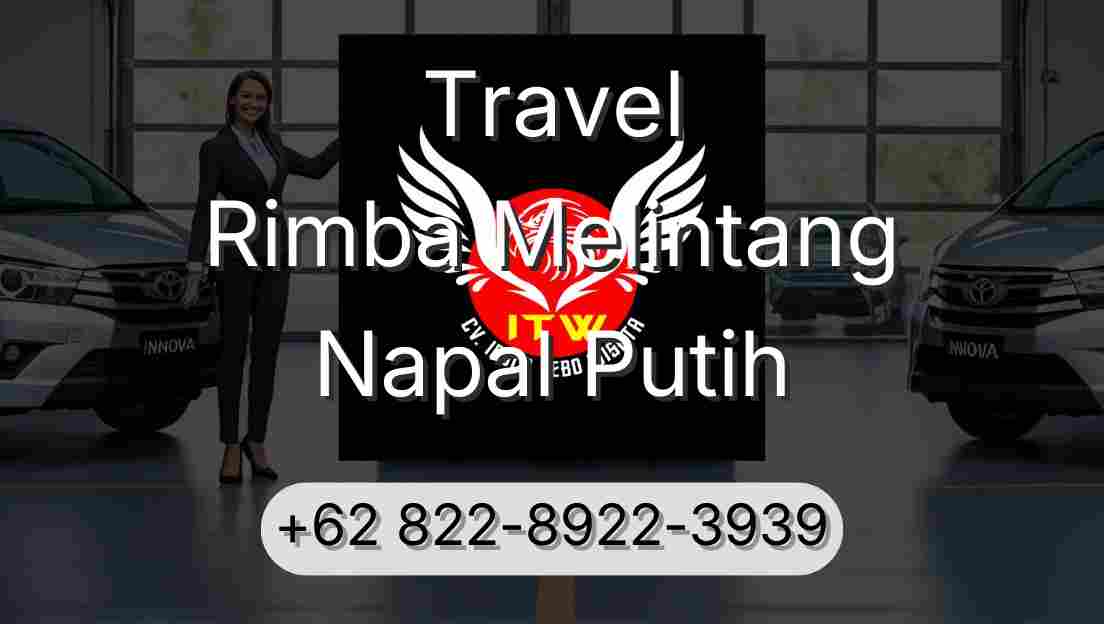 Travel Rimba Melintang Napal Putih