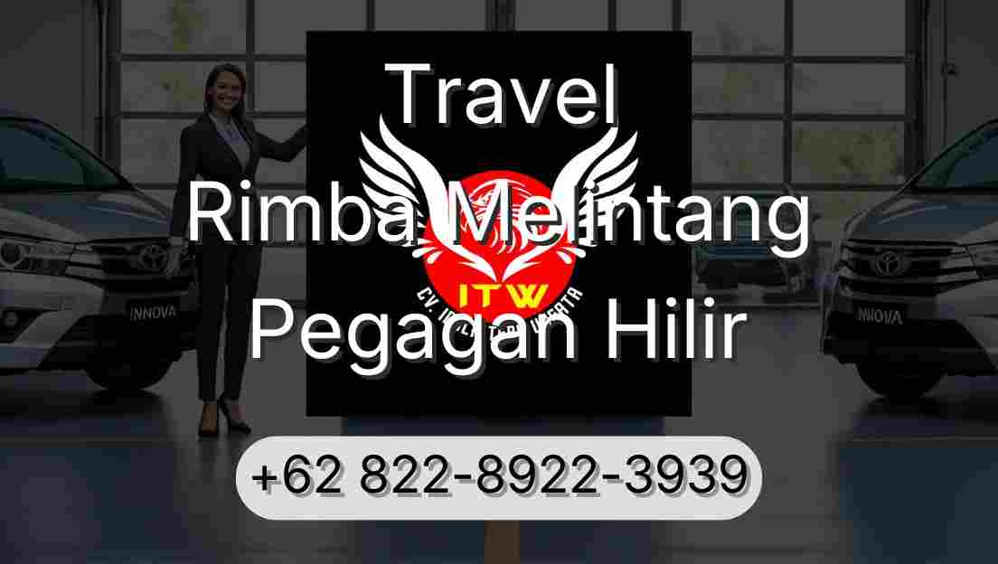 Travel Rimba Melintang Pegagan Hilir
