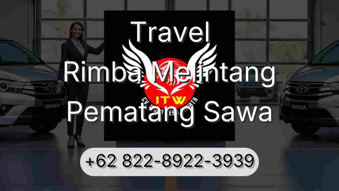 Travel Rimba Melintang Pematang Sawa