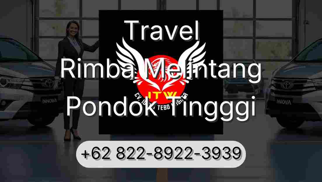 Travel Rimba Melintang Pondok Tingggi
