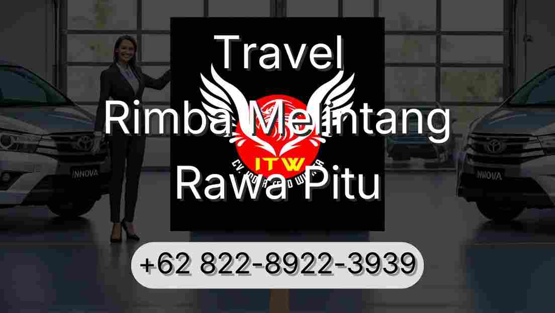 Travel Rimba Melintang Rawa Pitu