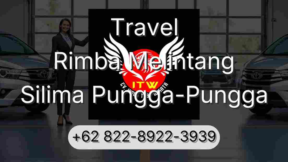 Travel Rimba Melintang Silima Pungga-Pungga