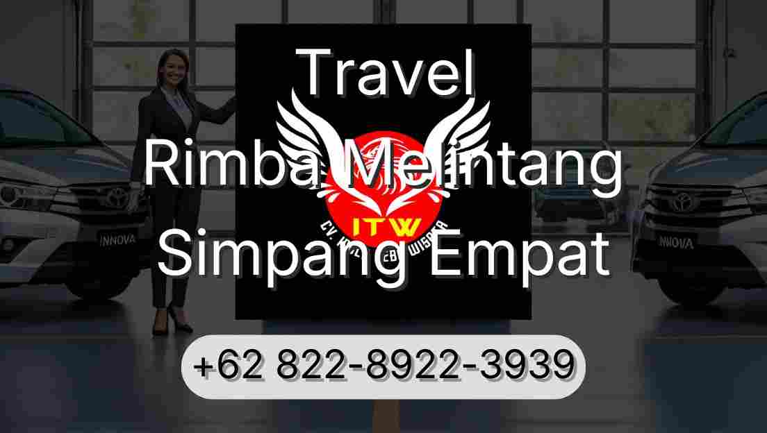 Travel Rimba Melintang Simpang Empat
