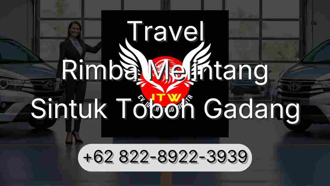 Travel Rimba Melintang Sintuk Toboh Gadang