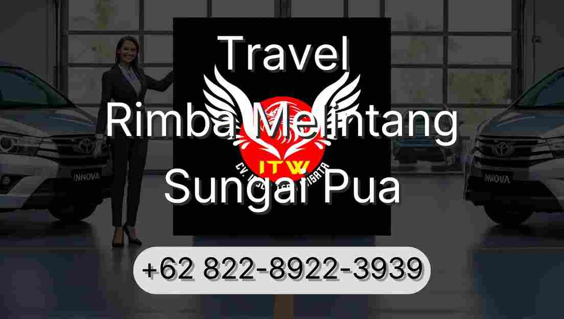 Travel Rimba Melintang Sungai Pua