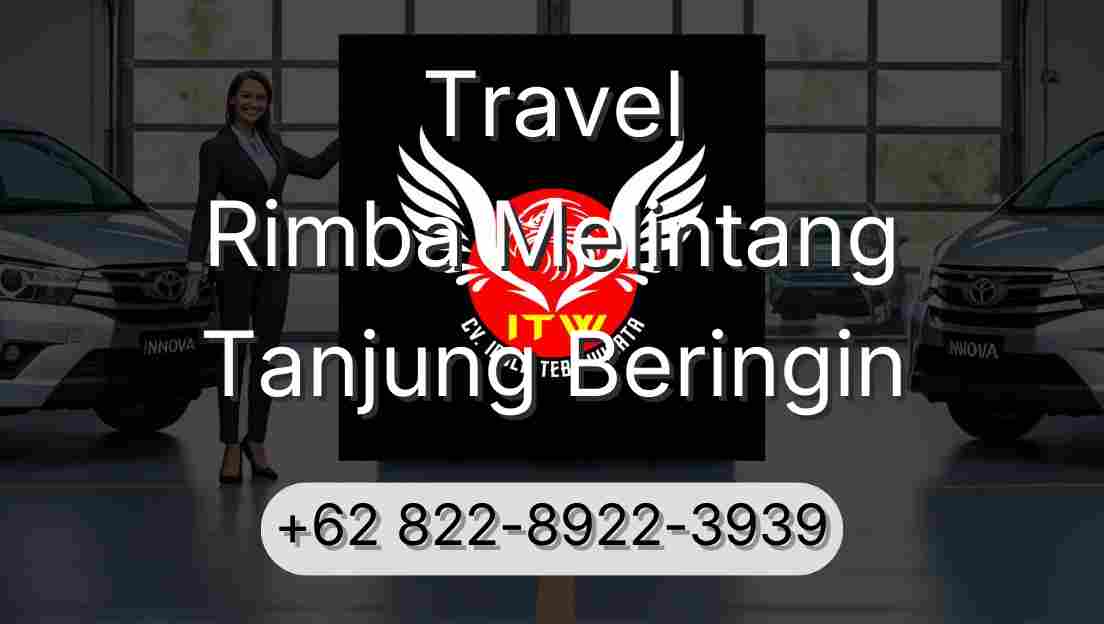 Travel Rimba Melintang Tanjung Beringin