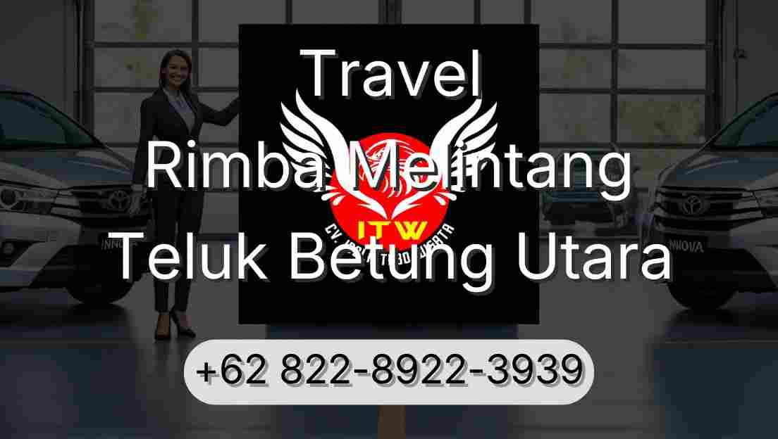 Travel Rimba Melintang Teluk Betung Utara