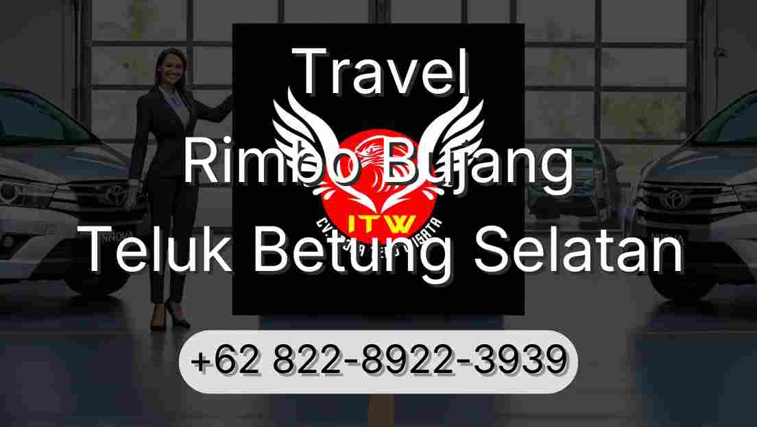 Travel Rimbo Bujang Teluk Betung Selatan