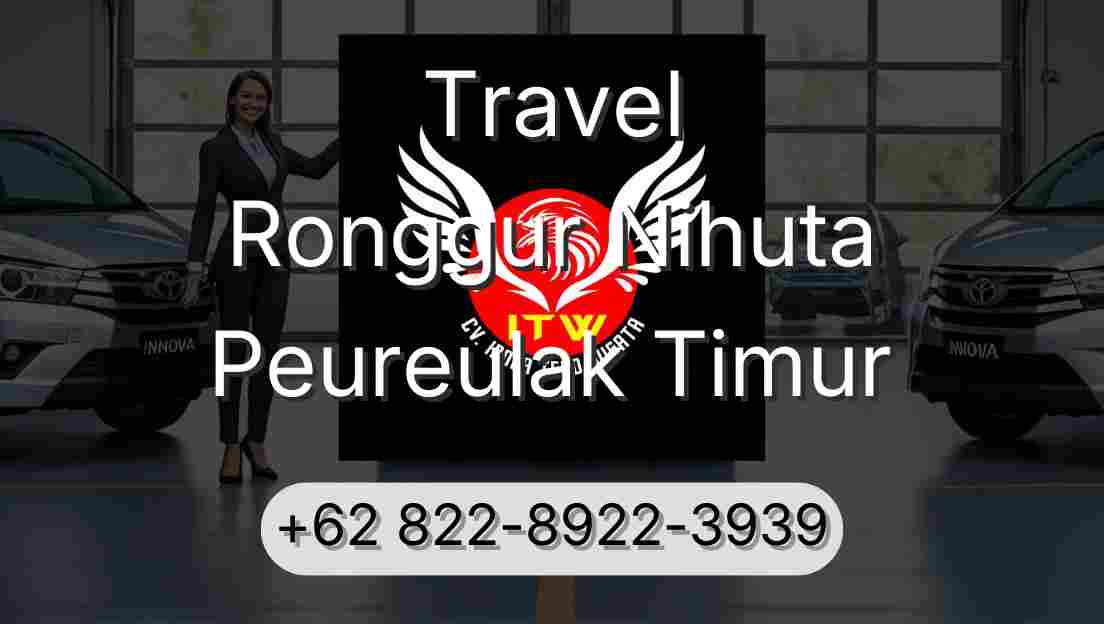 Travel Ronggur Nihuta Peureulak Timur