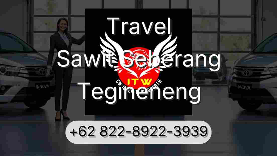 Travel Sawit Seberang Tegineneng