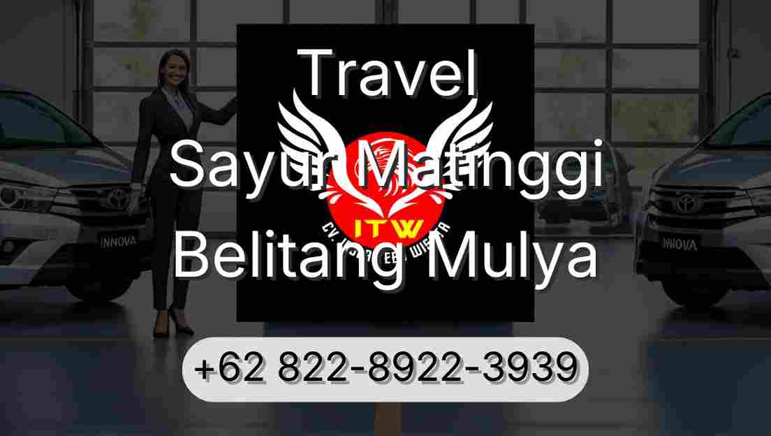 Travel Sayur Matinggi Belitang Mulya