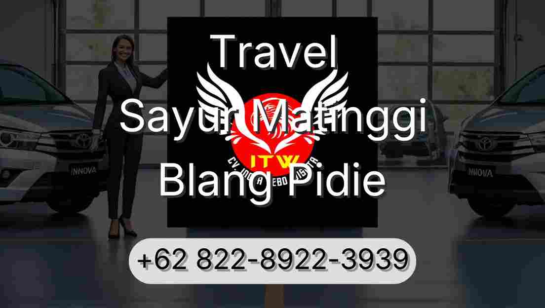 Travel Sayur Matinggi Blang Pidie