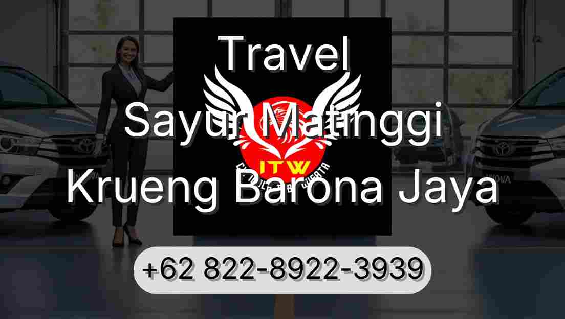 Travel Sayur Matinggi Krueng Barona Jaya