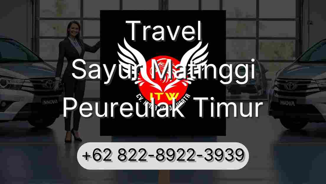 Travel Sayur Matinggi Peureulak Timur